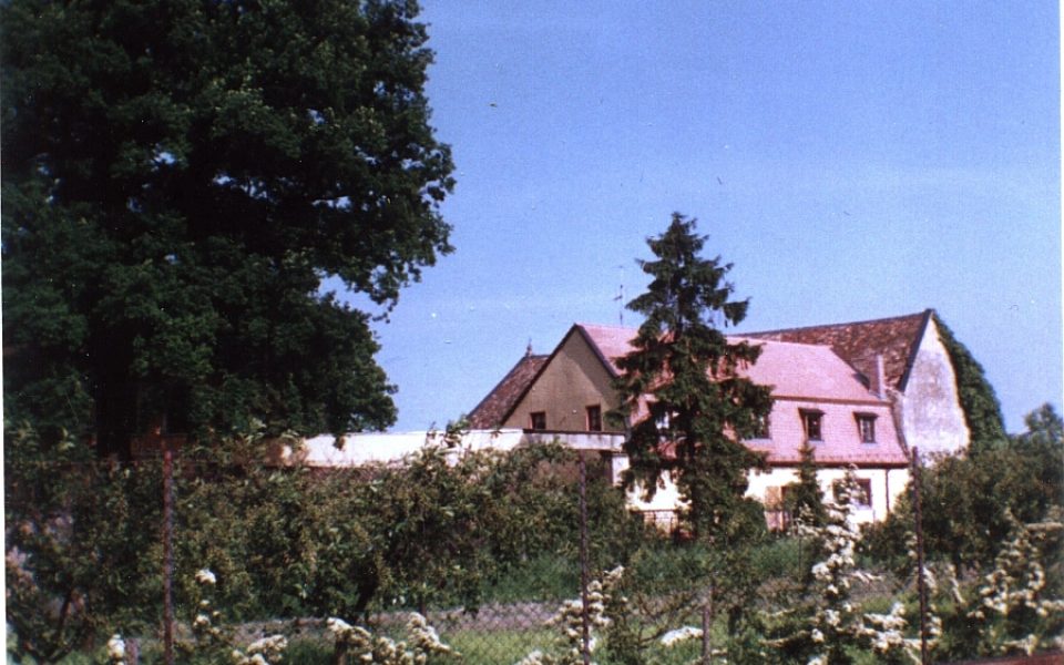 Category:Schloss Freinsheim