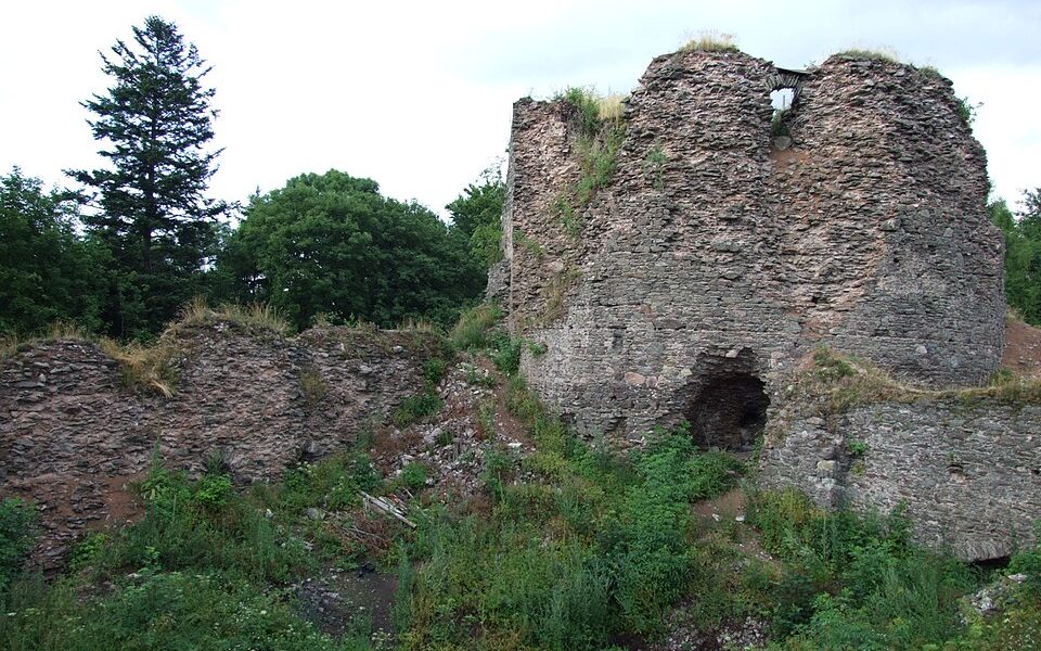 Frymburk