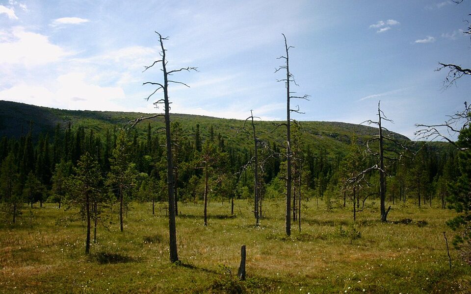 Fulufjället National Park