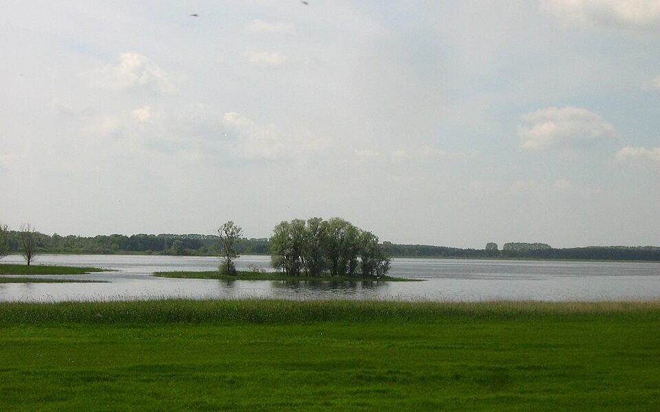 Gülper See