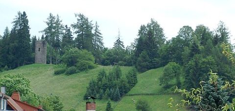 Photo: Metilsteiner, CC BY 3.0, Wikimedia Commons