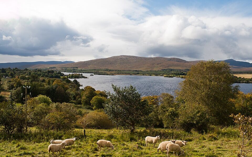 Gartan Lough