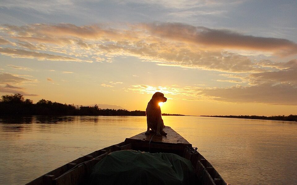 Evros Delta National Park