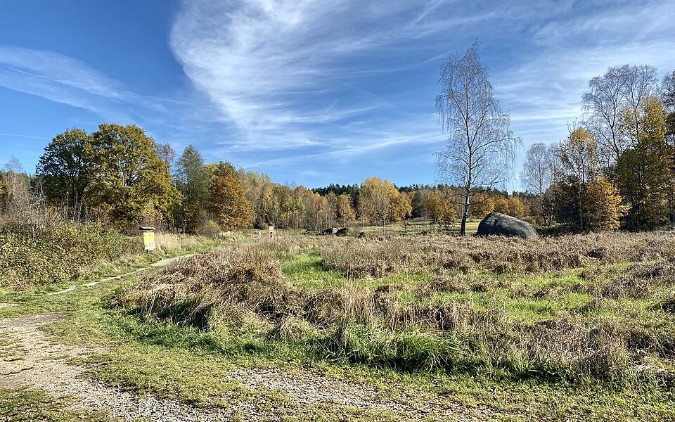 Blockheide