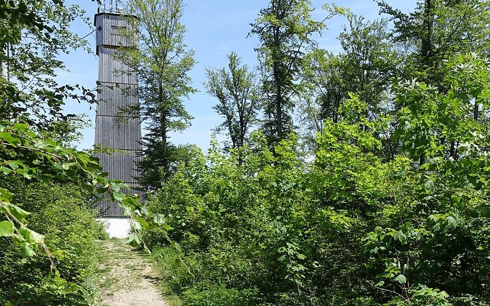 Sternberg Tower