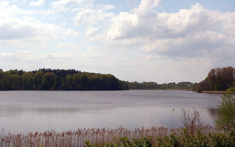 Grabauer See