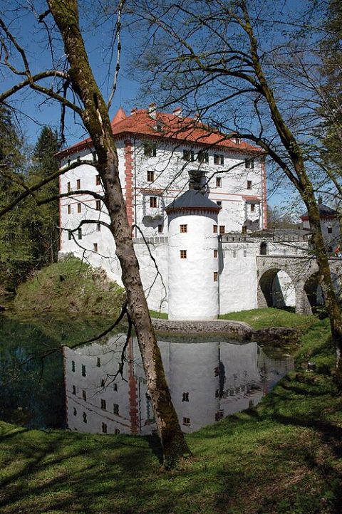 Photo: Alenka Veber at Slovenian Wikipedia, CC BY-SA 2.5, Wikimedia Commons