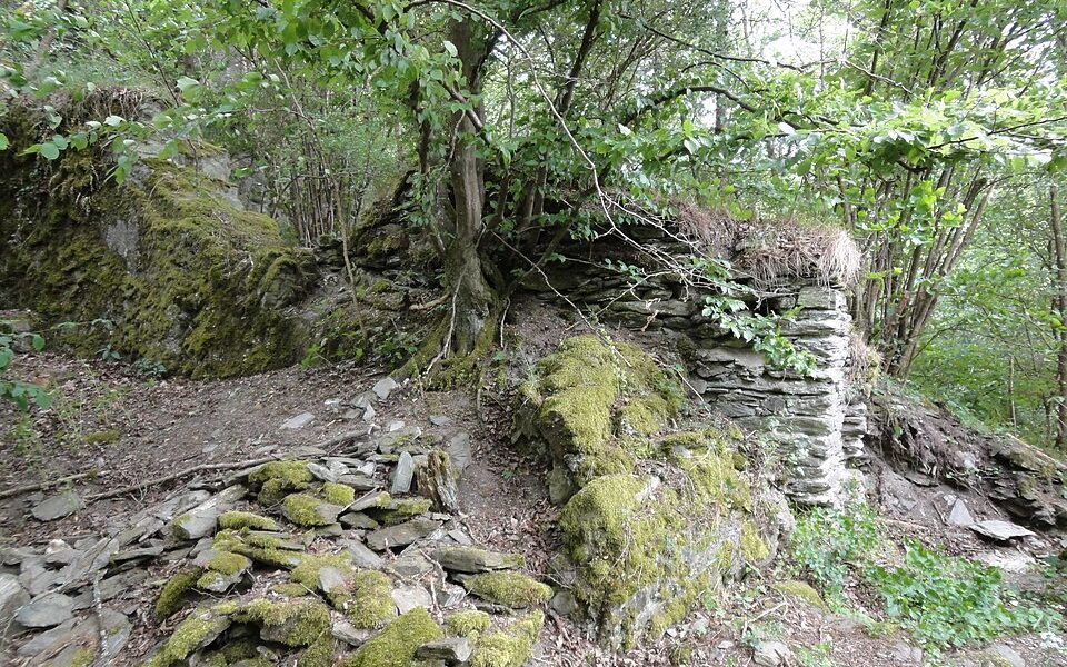 Burg Greifenstein (Hohenstein)