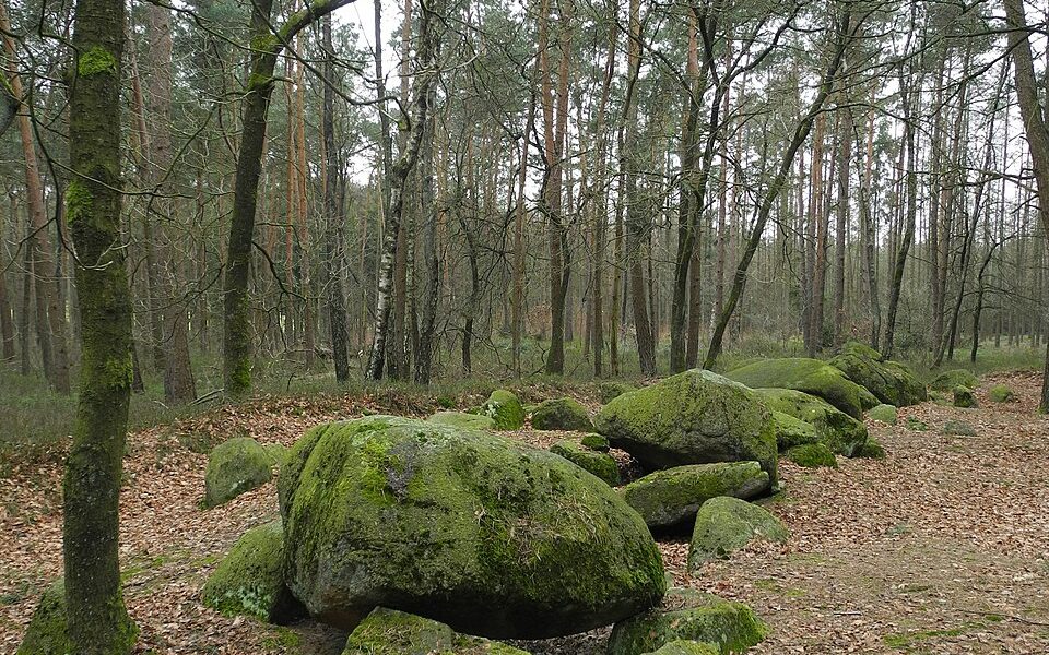 Großsteingrab Werpeloh II