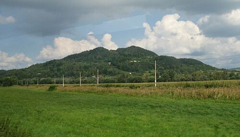 Photo: Adrian Tync, CC BY-SA 4.0, Wikimedia Commons