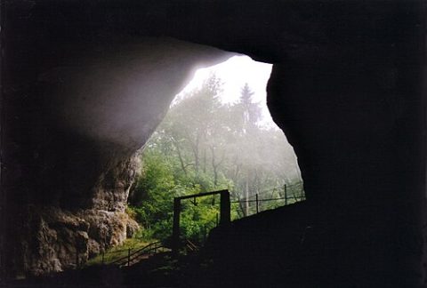 Photo: Stéphane Batigne, CC BY 3.0, Wikimedia Commons