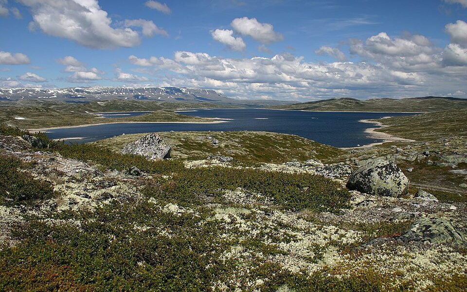 Hardangervidda National Park