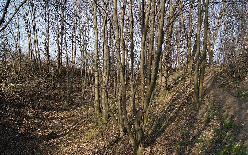 Hausberg Ödes Schloss