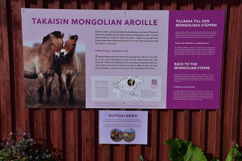 Korkeasaari Zoo