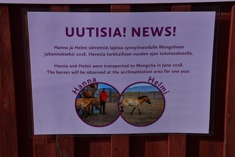 Korkeasaari Zoo