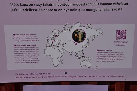 Korkeasaari Zoo