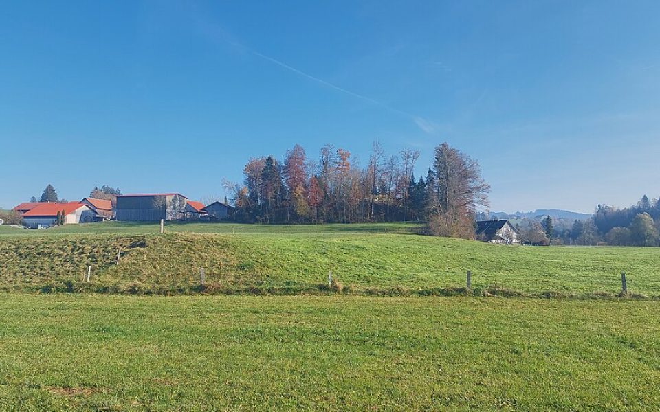 Burgstall Zwirkenberg