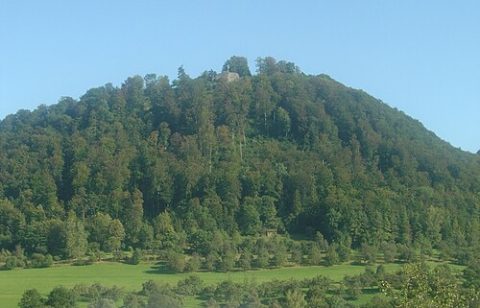 Photo: jost77, CC BY-SA 3.0, Wikimedia Commons