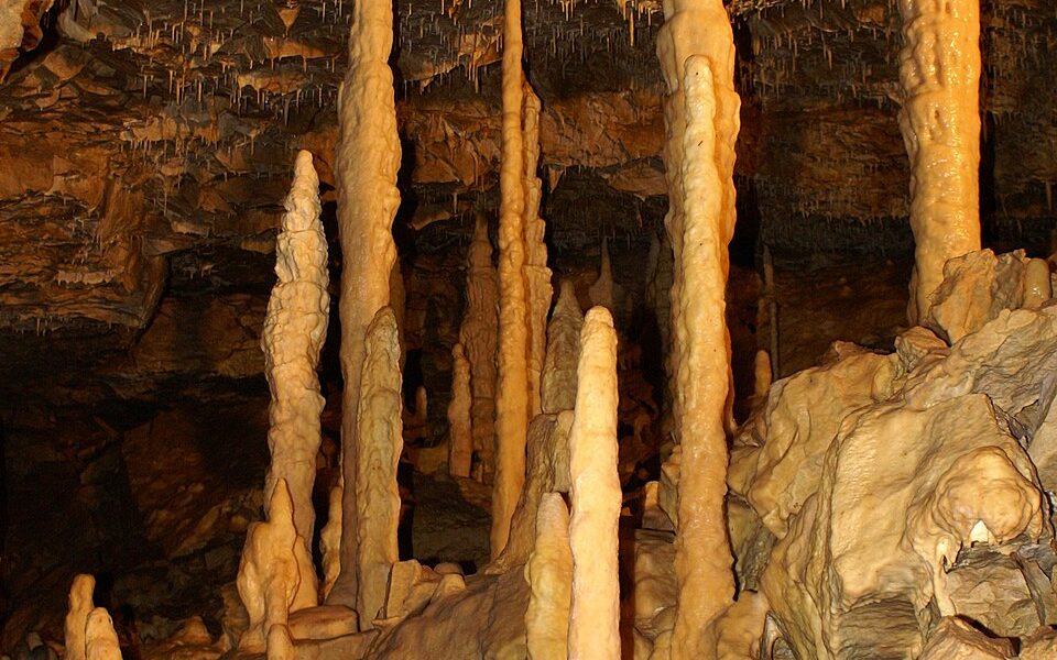 Hintere Kohlhaldehöhle