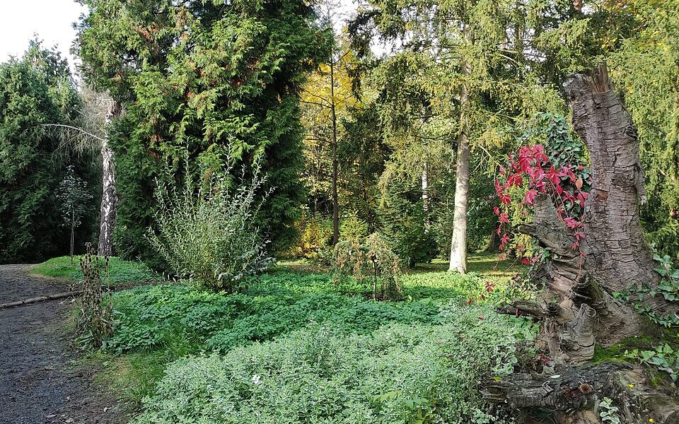 Arboretum Střední lesnické školy v Hranicích
