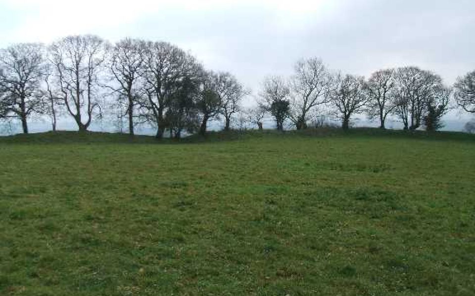 Huntsham Castle