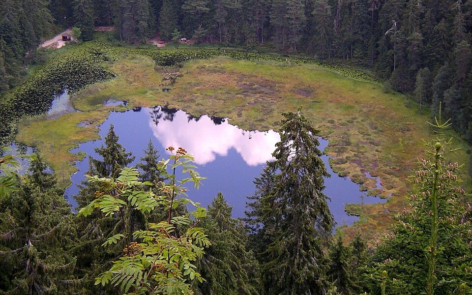 Huzenbacher See
