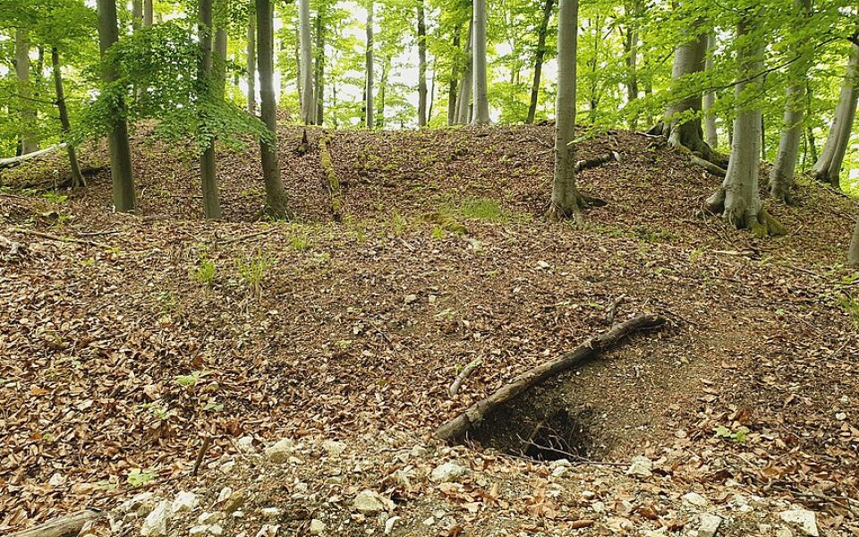 Burgstelle Bol