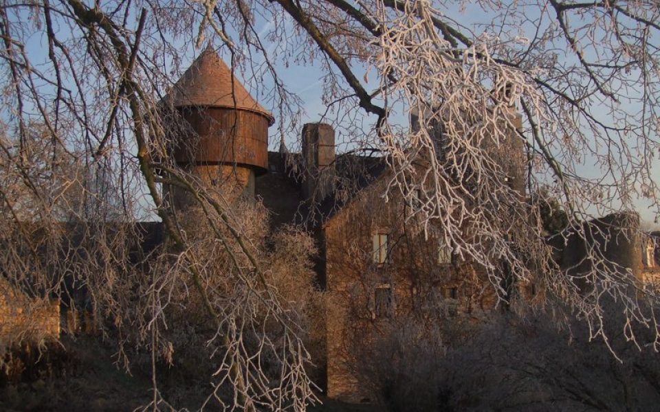 Château d'Ingrandes
