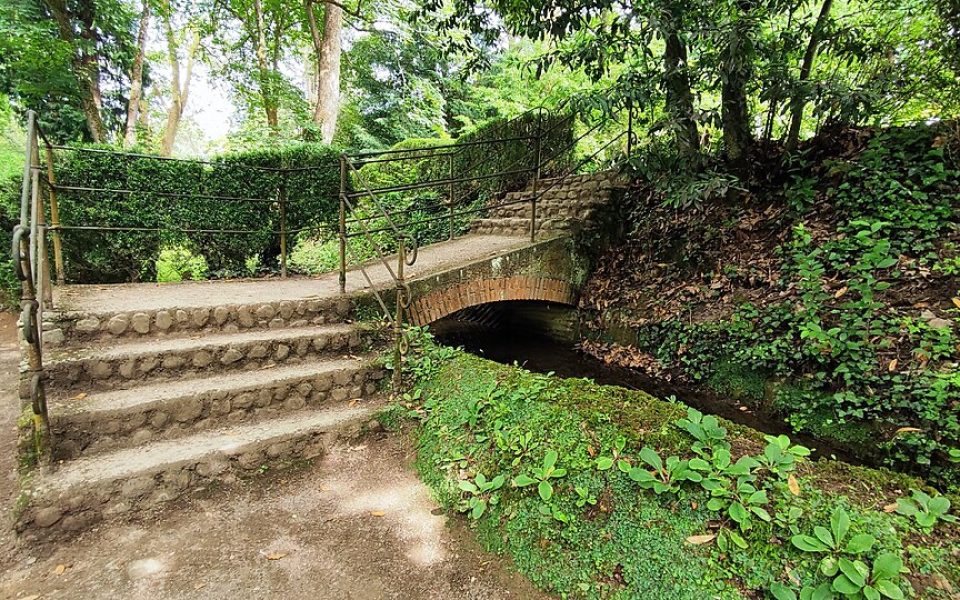 Atlantic Botanical Garden