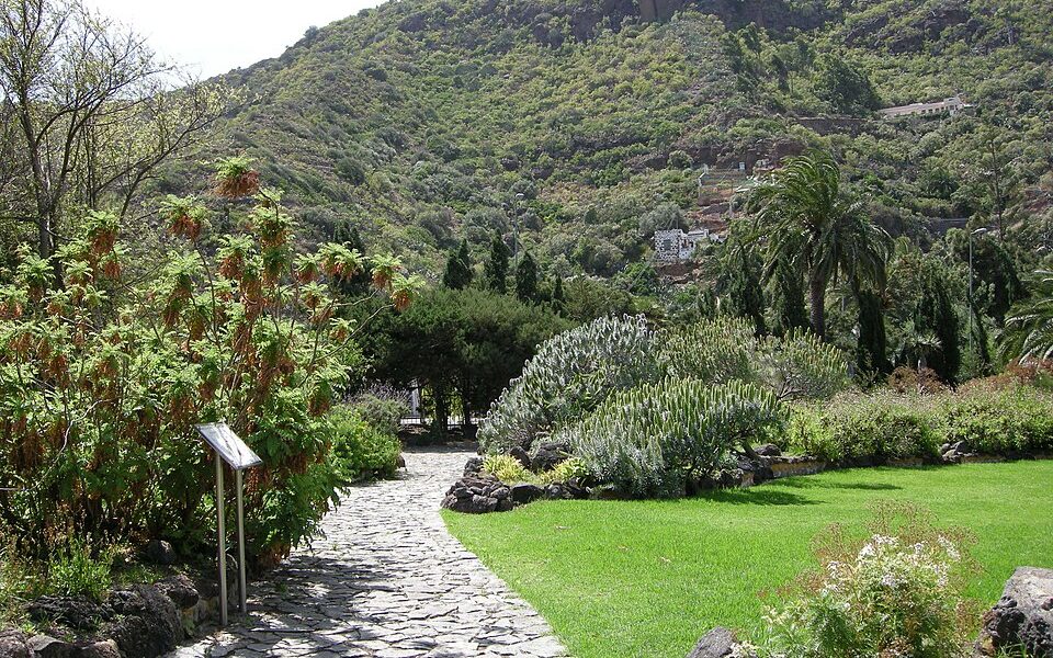 Jardín Botánico Canario Viera y Clavijo