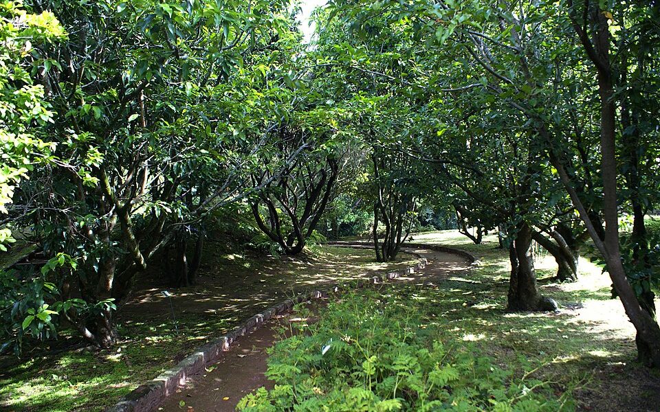 Botanical Garden of Faial