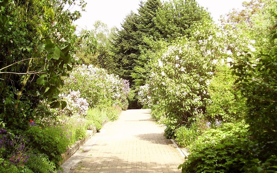 Experimental Garden Jean Massart