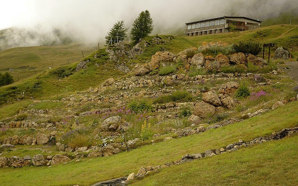 Jardin botanique de Mont Cenis