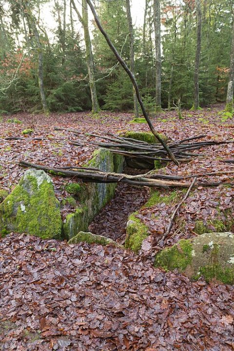 Photo: Villy Fink Isaksen, CC BY-SA 4.0, Wikimedia Commons