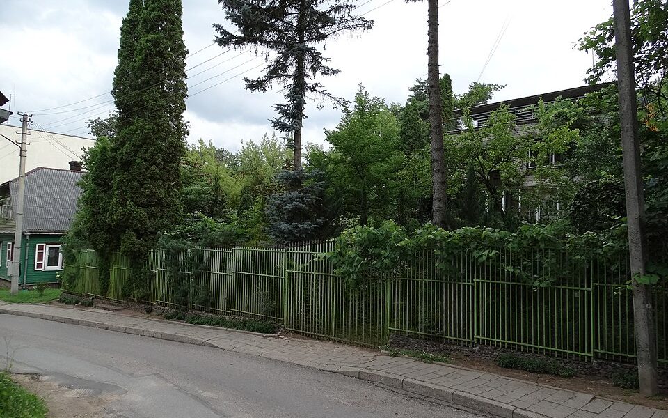 Juozo Leleikos miniatiūrinių spygliuočių dendrologinė kolekcija