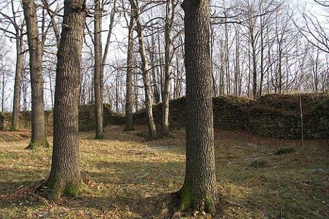 Photo: Lutz Maertens Trendy64 20:40, 29 January 2007 (UTC), CC BY-SA 3.0, Wikimedia Commons