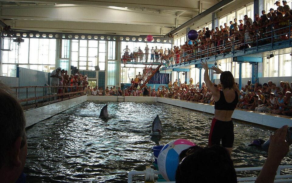Kara-Dag dolphinarium