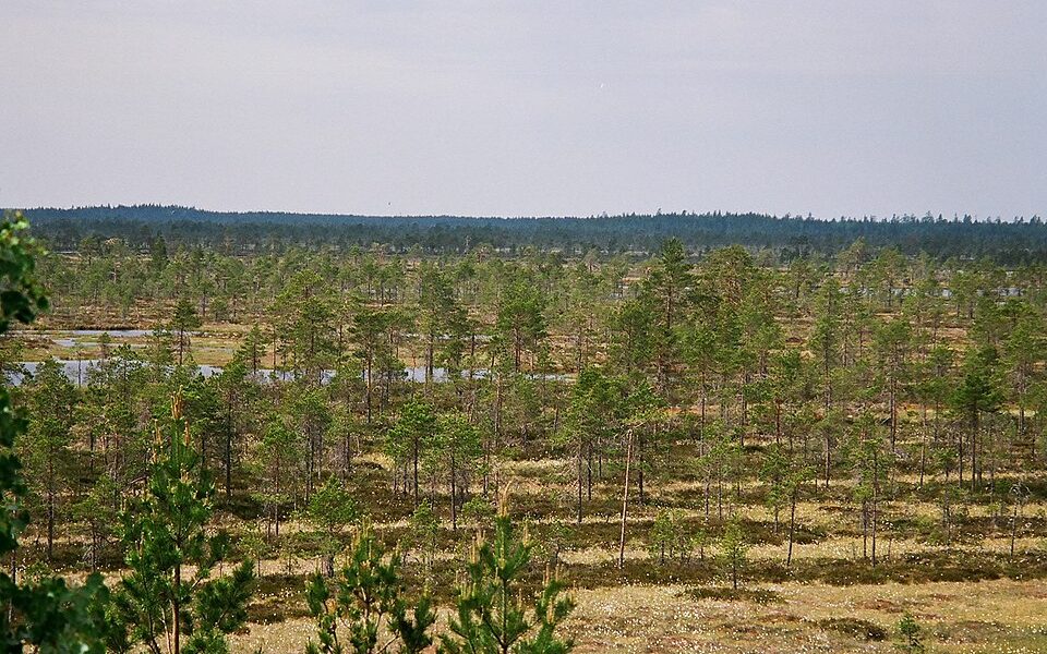 Kauhaneva-Pohjankangas National Park
