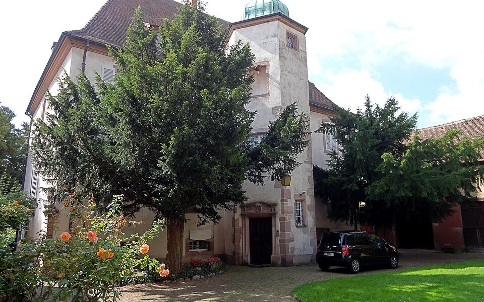Château des Ifs