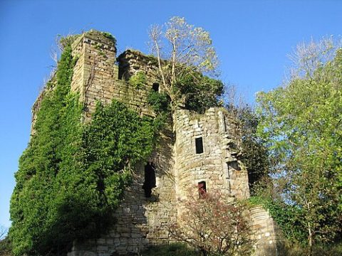 Photo: wfmillar, CC BY-SA 2.0, Wikimedia Commons
