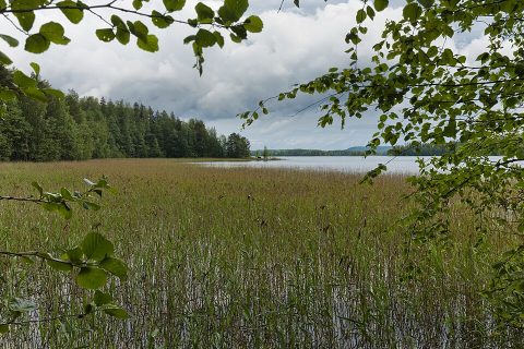Päijänne