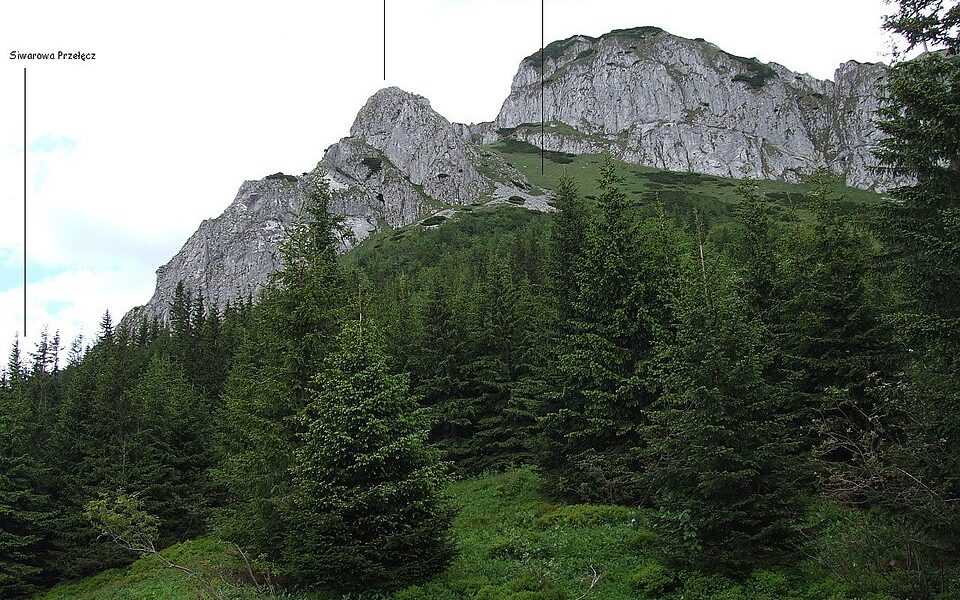 Nisza w Kobylarzowej Turni