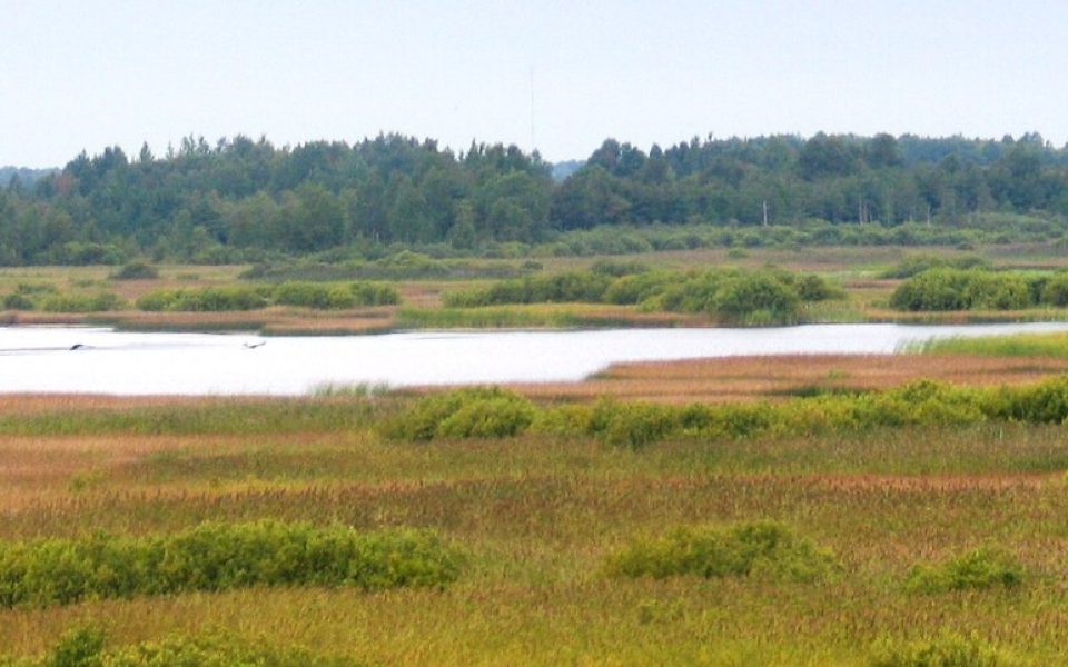 Lake Koigi