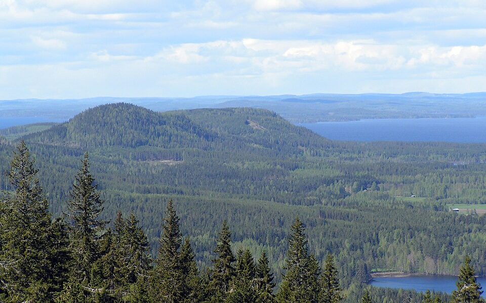 Koli National Park