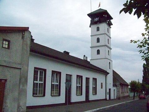 Photo: Włodzimierz Jacek Adamski, GFDL, Wikimedia Commons
