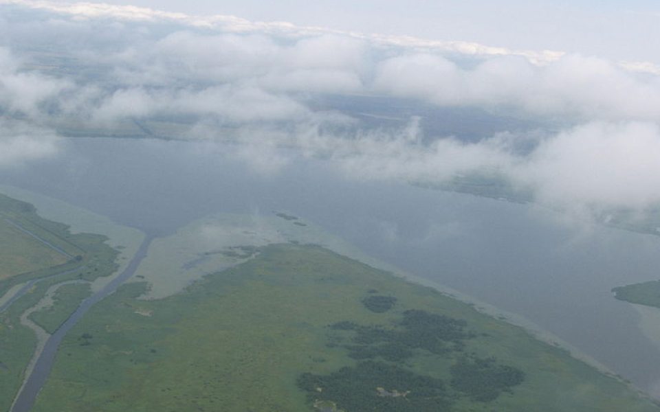 Krokų Lanka
