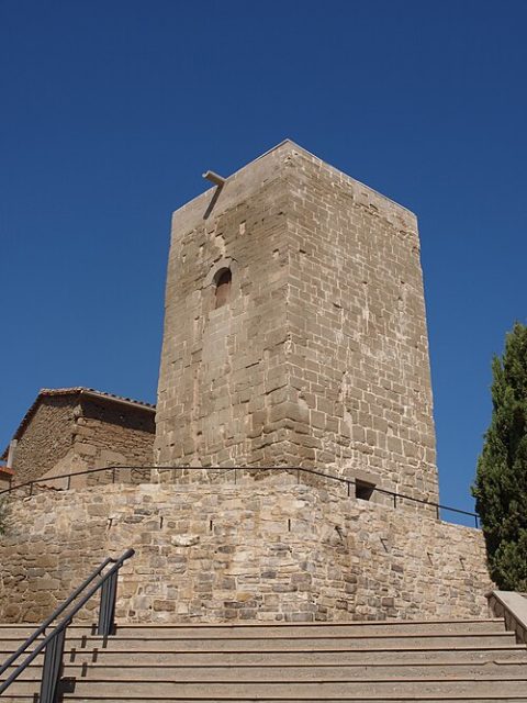 Photo: CRPU Mascançà, CC BY-SA 3.0, Wikimedia Commons