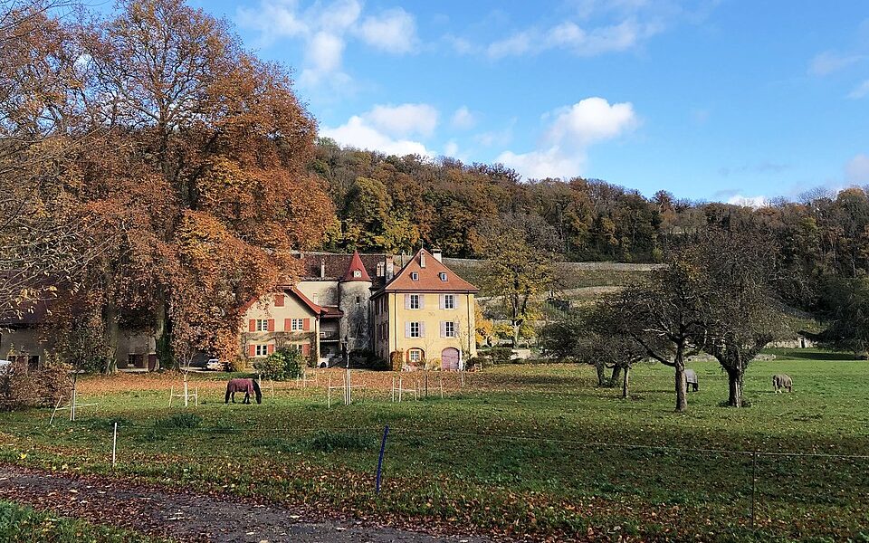 Former charterhouse La Lance