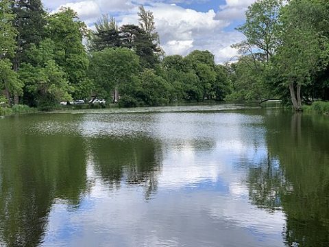 Photo: Chabe01, CC BY-SA 4.0, Wikimedia Commons