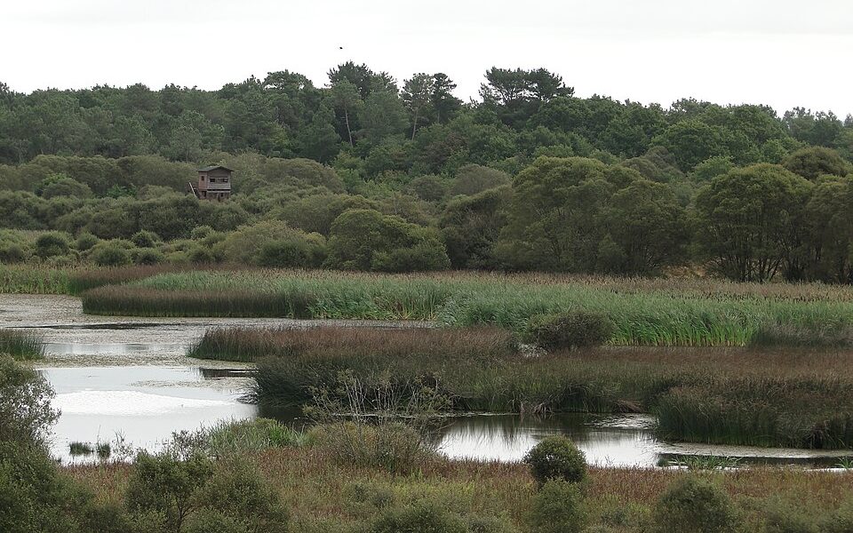 Lagoa de Cospeito